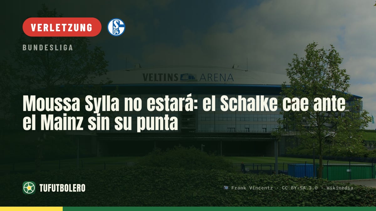 Moussa Sylla fehlt Schalke gegen Mainz 05