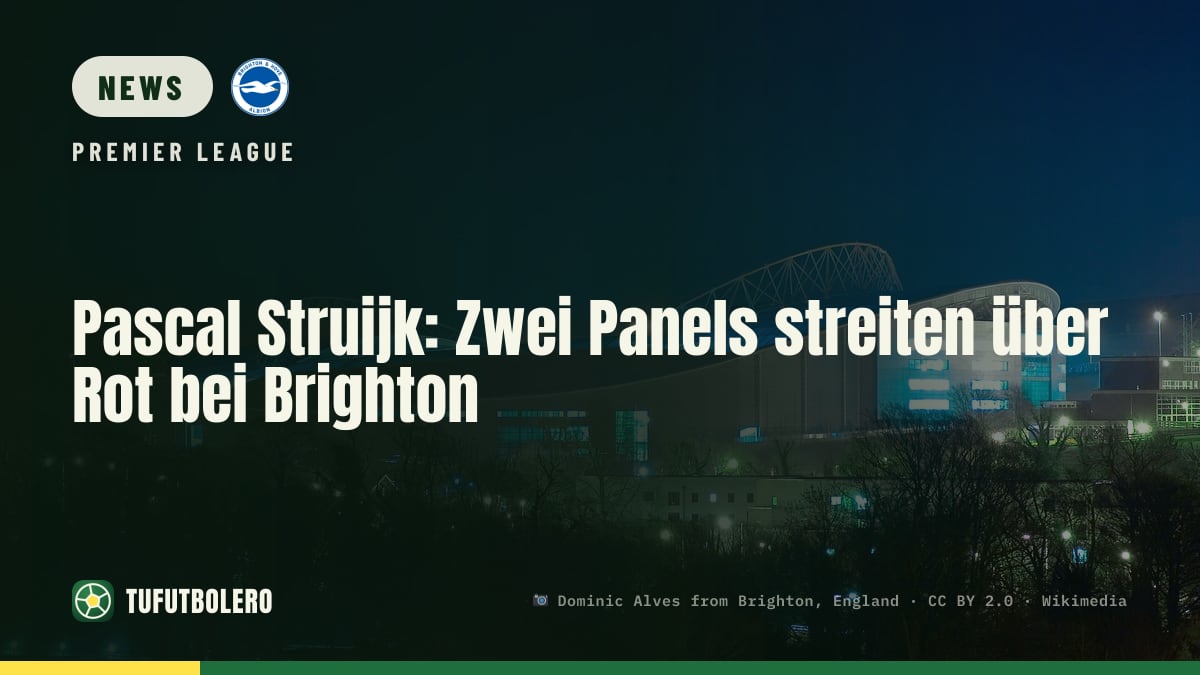 Pascal Struijk: Zwei Panels streiten über Rot bei Brighton