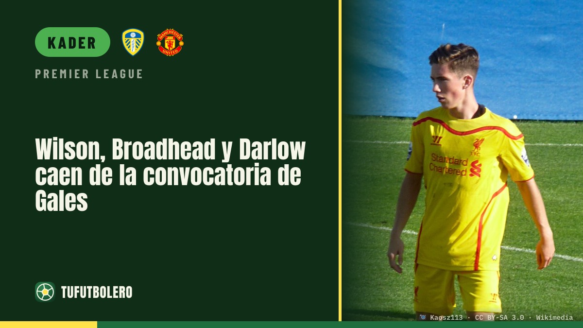 Wilson, Broadhead und Darlow fallen aus dem Wales-Kader