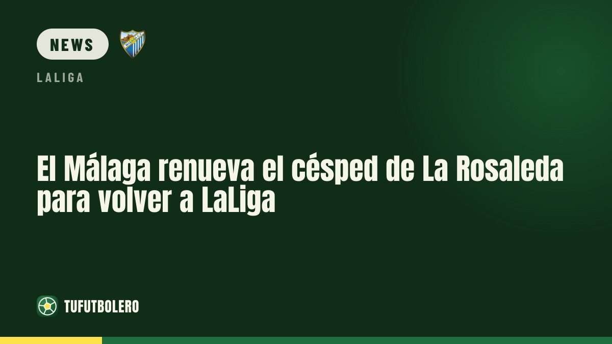 Málaga to replace the turf at La Rosaleda for LaLiga return