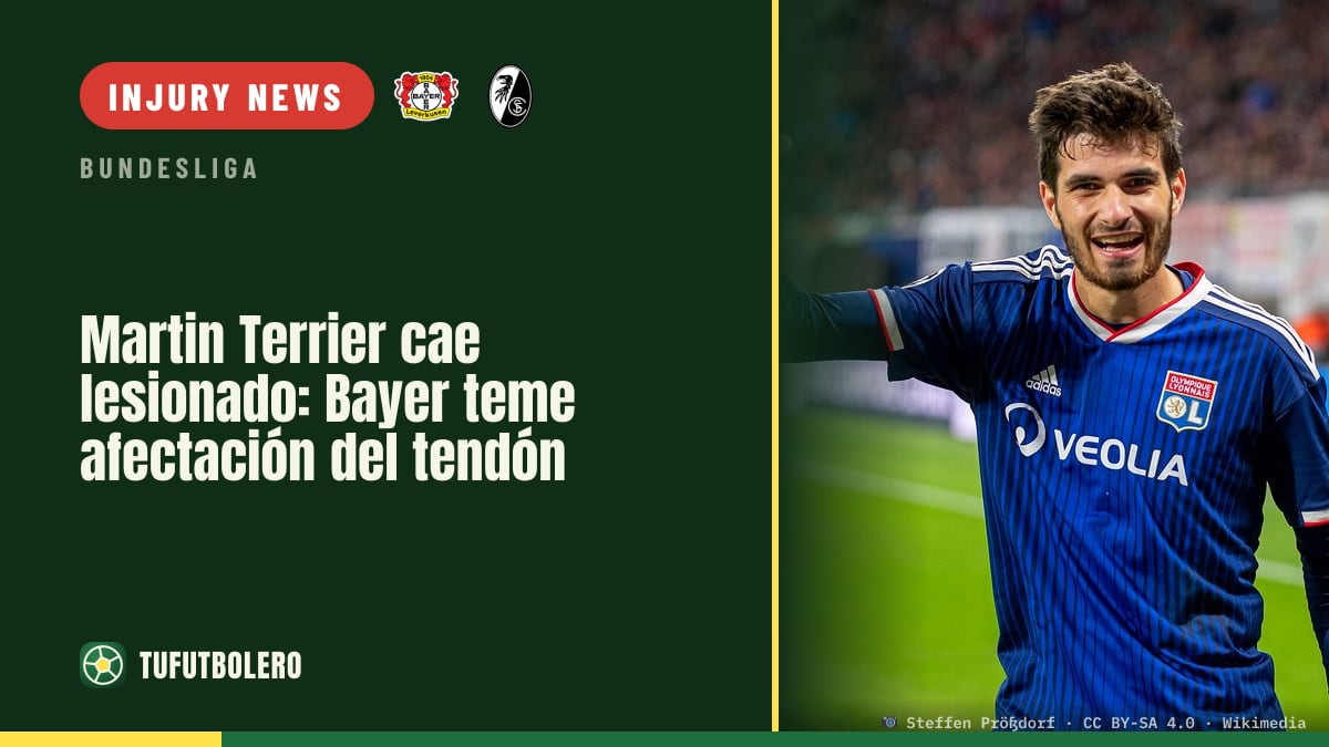 Martin Terrier injured early: Bayer fears tendon involvement