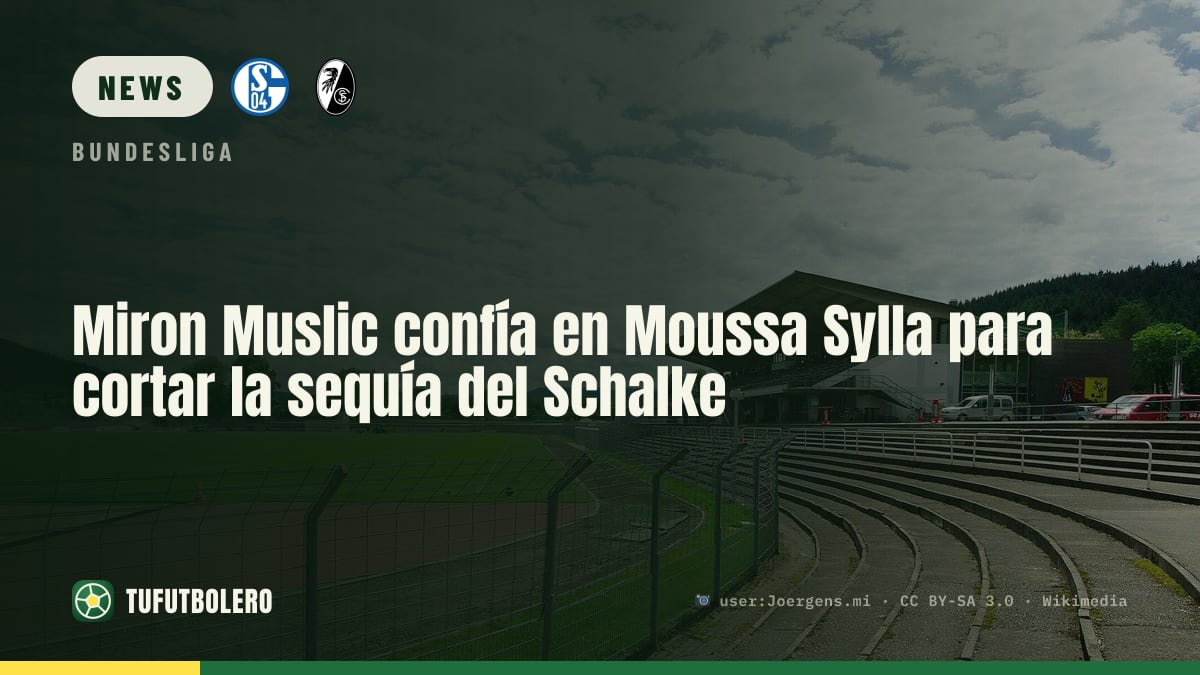 Miron Muslic is annoyed but hopeful as Schalke look to fix scoring drought