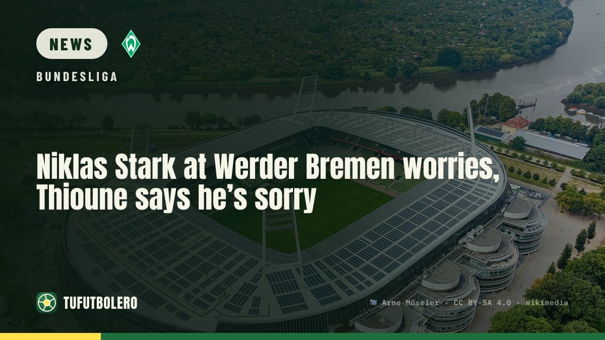 Niklas Stark at Werder Bremen worries, Thioune says he’s sorry