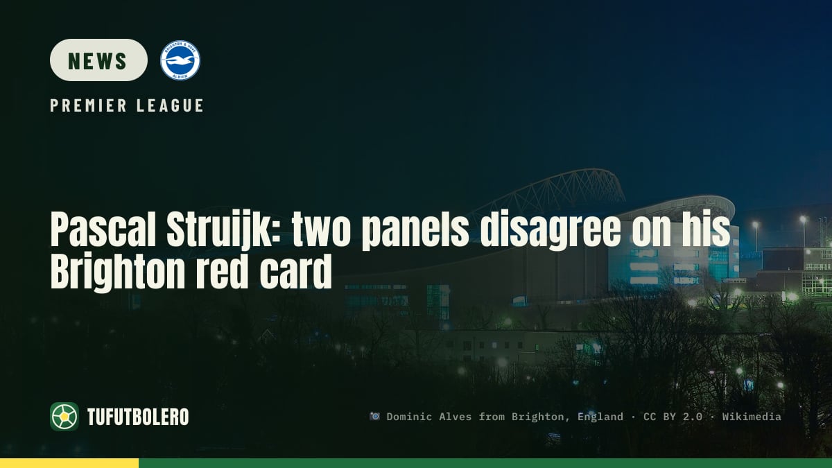 Pascal Struijk: two panels disagree on his Brighton red card