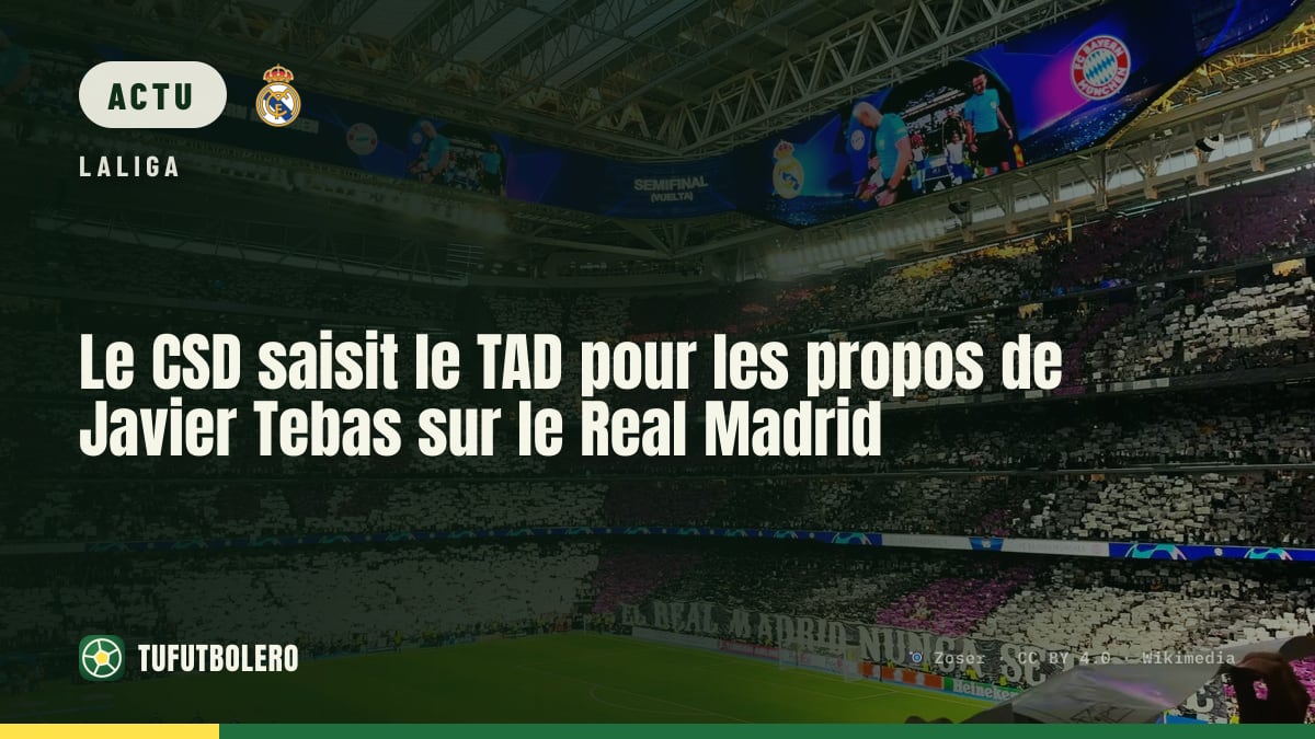 Le CSD saisit le TAD pour les propos de Javier Tebas sur le Real Madrid