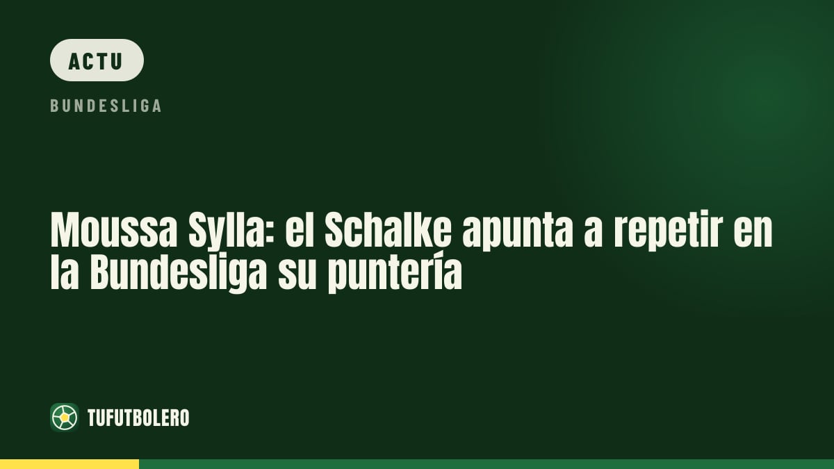Moussa Sylla doit aussi faire le job en Bundesliga avec Schalke
