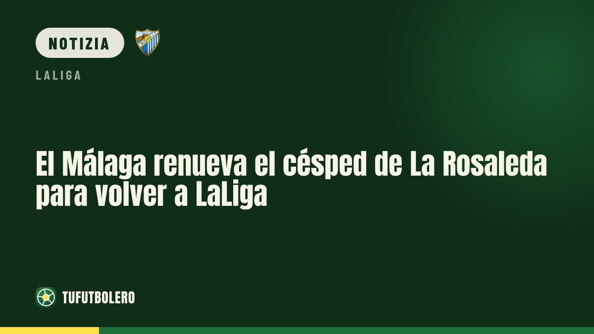 Málaga, cambio del terreno al La Rosaleda per il ritorno in campionato