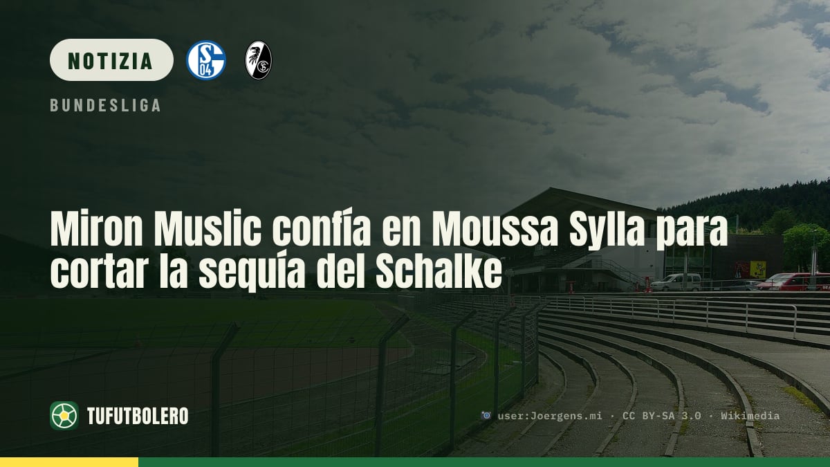 Miron Muslic arrabbiato ma fiducioso: Sylla per sbloccare il Schalke